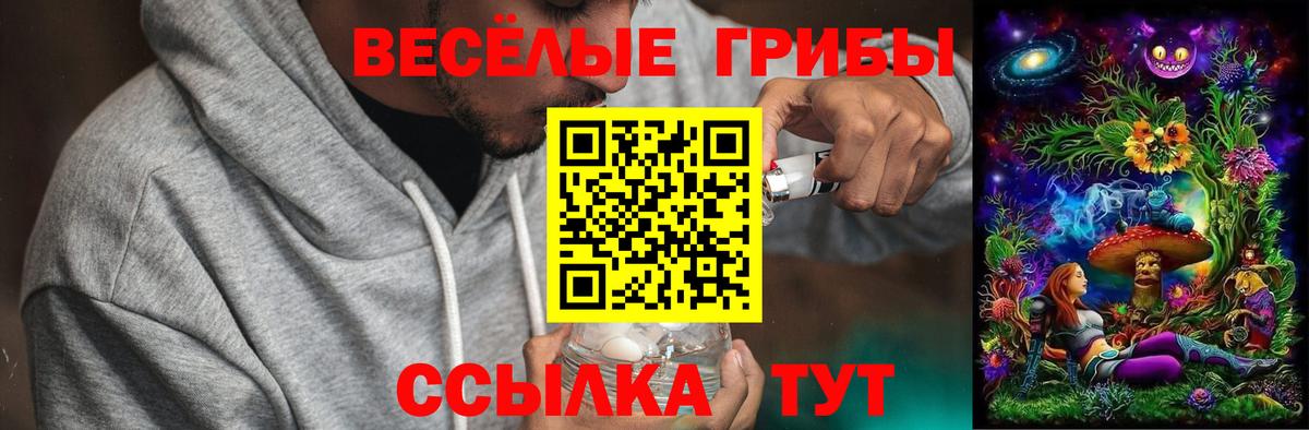 Выборг  Галлюциногенные грибы мухоморы  Псилоцибиновые грибы Magic Shrooms  купить закладку  Вход с VPN 